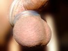 Cock-Ring-2367