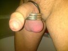 Cock-Ring-2484