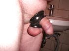 Cock-Ring-2517