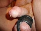 Cock-Ring-2538