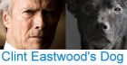 Clint Eastwoods Dog