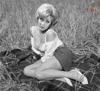 Liz Fraser 01