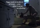 eat Piggy