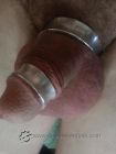 Cock-Ring-2982