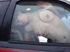 Car Sluts (7)