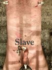 das würde dem Sklaven doch gut stehen?