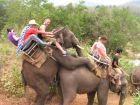 elephant-ride