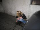 JR's Drunk Public Pissers TAKE TWO (46)