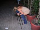 JR's Drunk Public Pissers TAKE TWO (65)