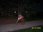 JR's Drunk Public Pissers TAKE TWO (83)