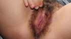 hairy260300081