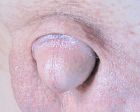 Super Up Close Cock 008