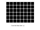 optical_illousion_black_dots