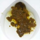 pooping 29/03/19 (2)