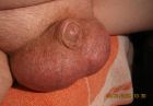 03-31-2019 Baby Oil Tiny Cock and Balls 019