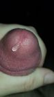 precum3