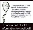 A Single Sperm Carries