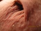 08-02-2019 Tiny Dick In Out 028