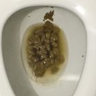 shit  04/10/19(1)