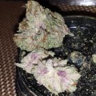 Instafire-Super-Frosty-Pink-2.0-Weedist