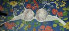 My stolen used bra (14)