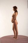 nude-woman-white-standing-poses-all-pregnant-long-brown-simple-jitka_640v640 (1)