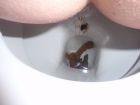 My poo shitting in scool toilets