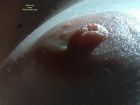 nipple_closeup_8733 (1)