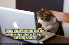 Cat Facebook