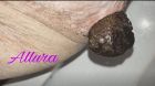 Hotwife Scat Allura aka Amateur American Couple Jerking off my husband with poop- check out my profile or contact me for where you can purchase the video!