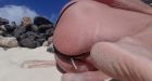 Beach Panties 31