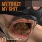 My toilet - my shit