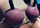 Wife BDSM bondage Tied tits tortured purple pain