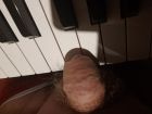 gay cock pianists  (10)
