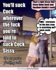 sissy slut steve kuhn cock sucker