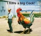 big cock