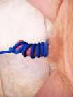 Jennifer Ann cbt with blue rope-14