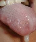 swallow-slut_schluck-sau_1